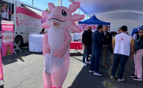 CDMX lanza la campaña "Chichihualli, el mastógrafo móvil"; ofrecerá estudios gratis para detectar cáncer de mama