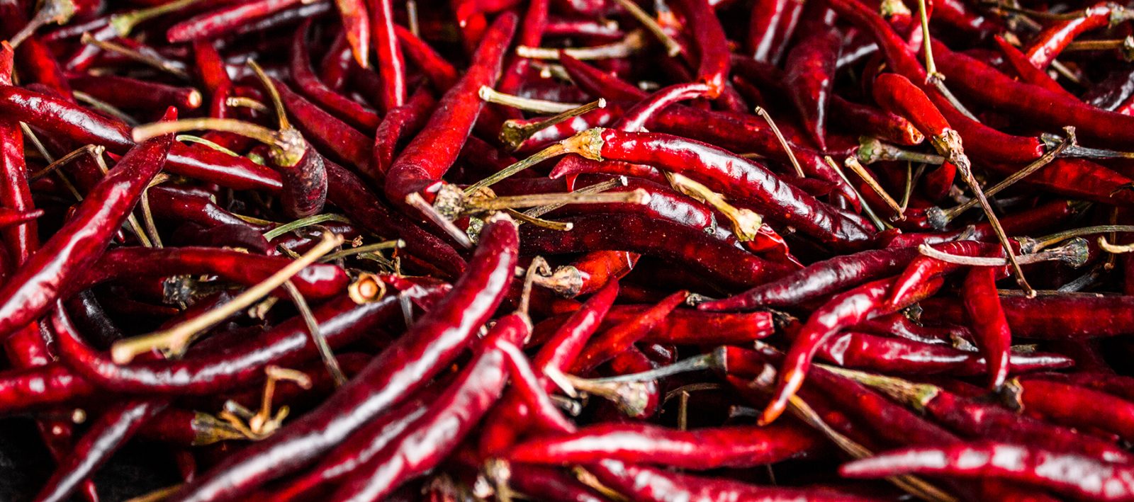 Chile Yahualica: el picante sabor de Jalisco y Zacatecas con Denominación de Origen