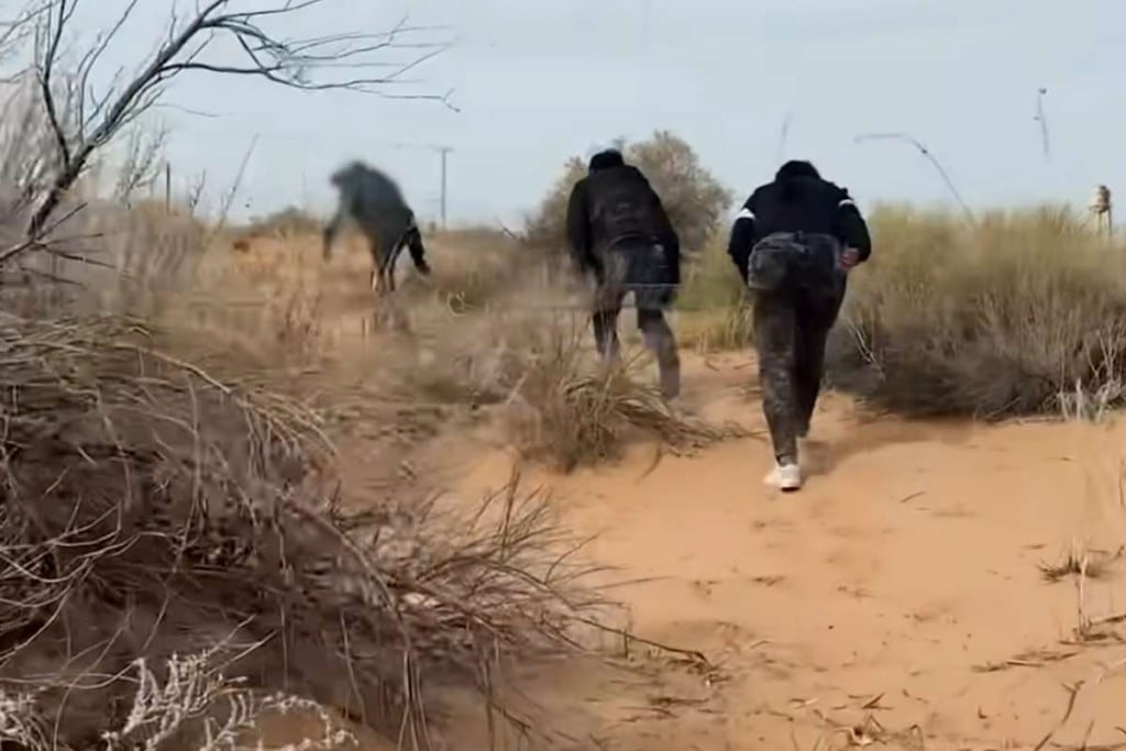 ¿Cómo pedir ayuda un familiar está perdido en el desierto de la frontera?