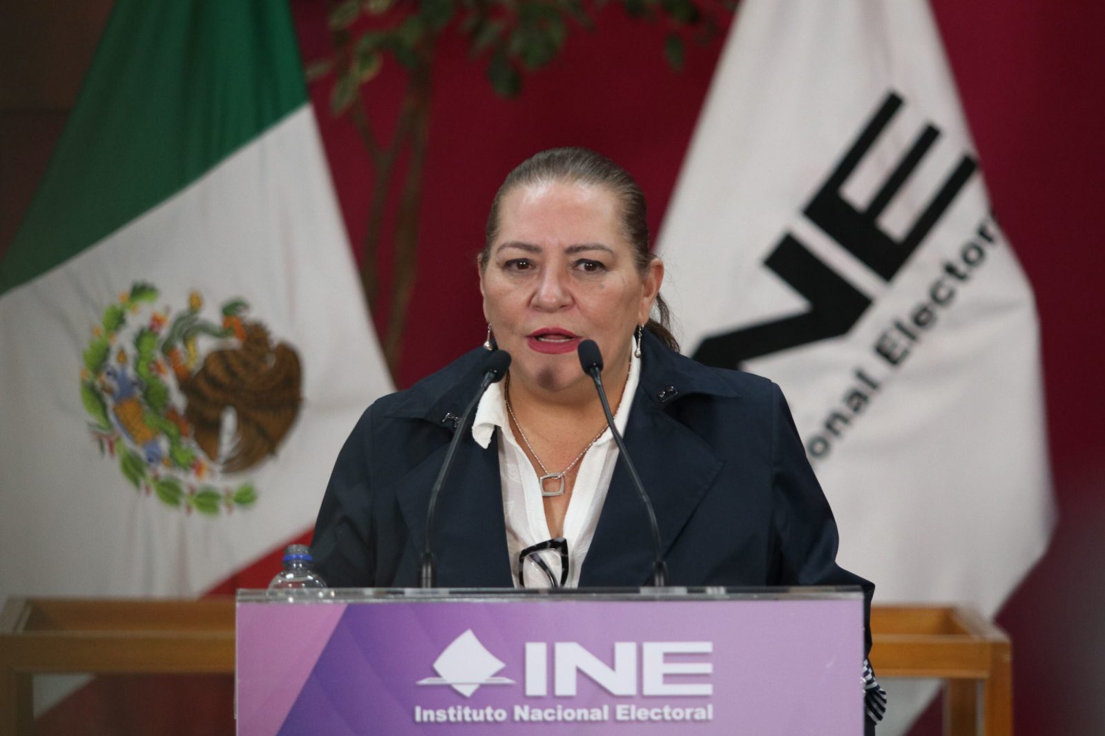 Consejero del INE revela qué les dijo Guadalupe Taddei antes de su salida: ‘Ella no pensaba renunciar’