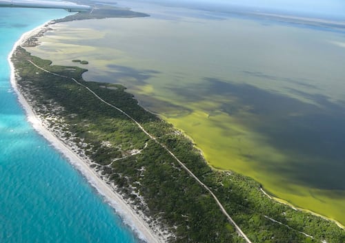 Cuotas recaudadas por turismo en Áreas Protegidas no van a su cuidado: organizaciones; más de la mitad se queda en Hacienda, acusan