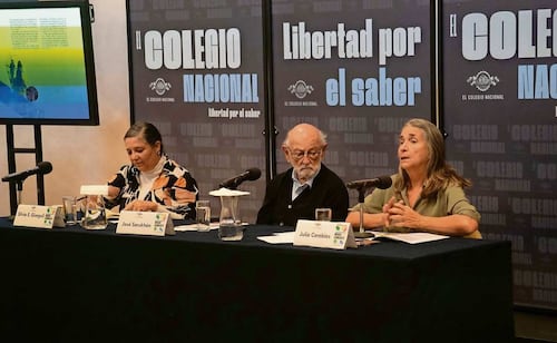 Disertarán sobre retos y riesgos de la educación superior en El Colegio Nacional