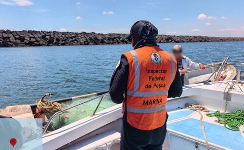 Durante 2026, Marina ha realizado más de 2 mil inspecciones en mar y tierra de Veracruz; buscan regular la actividad pesquera