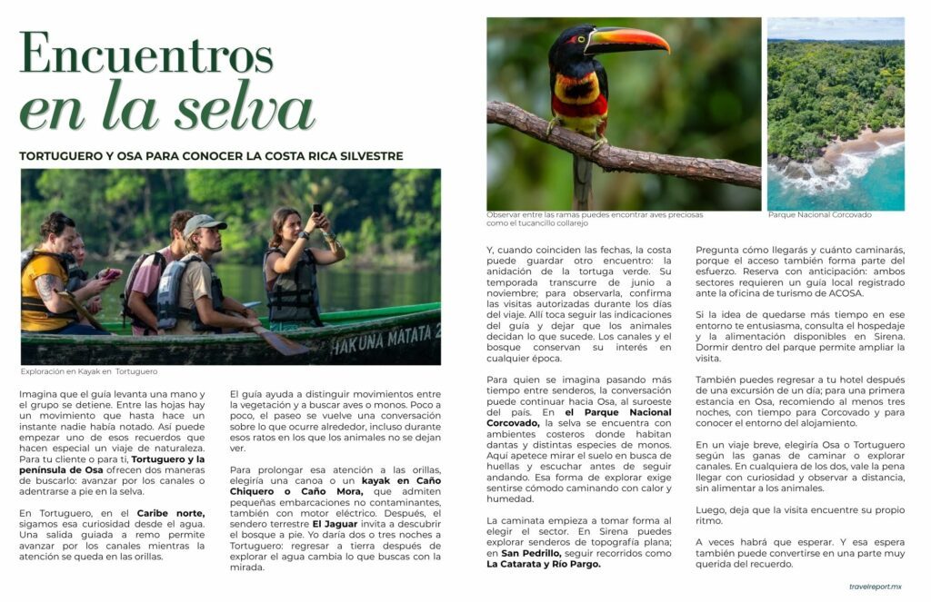 Encuentros en la selva