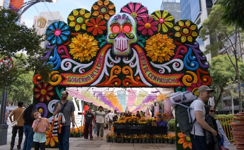 Festival de Flores de Cempasúchil en Reforma; precios van de 10 a 40 pesos