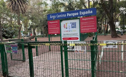 Fiscalía CDMX abre investigación por presunto envenenamiento de perros en Parque España; dos lomitos murieron
