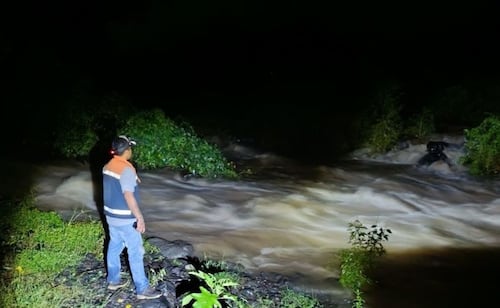 Frente frío deja bajas temperaturas, fuertes vientos y lluvias en Veracruz; reportan caída de árboles y postes