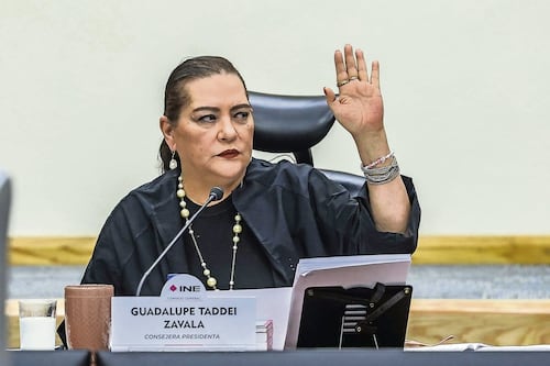 Guadalupe Taddei, la consejera del INE que acumuló superpoder