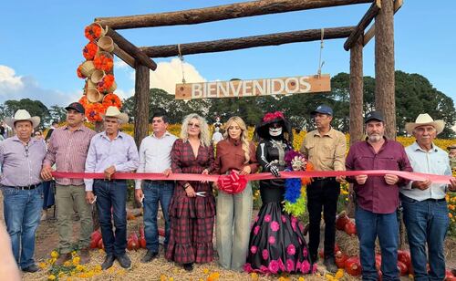 Inauguran el primer campo de cempasúchil en Sinaloa; recibe más de 700 visitantes durante su primer día