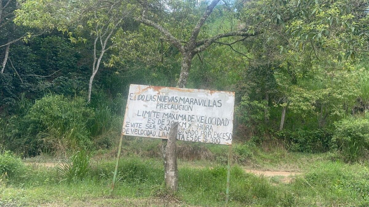 Incursiona crimen organizado a ejidos tsotsiles de Cintalapa, en los límites con Oaxaca