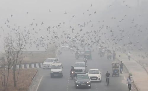India registra niveles graves de contaminación del aire; imponen medidas por aumento de partículas PM2.5