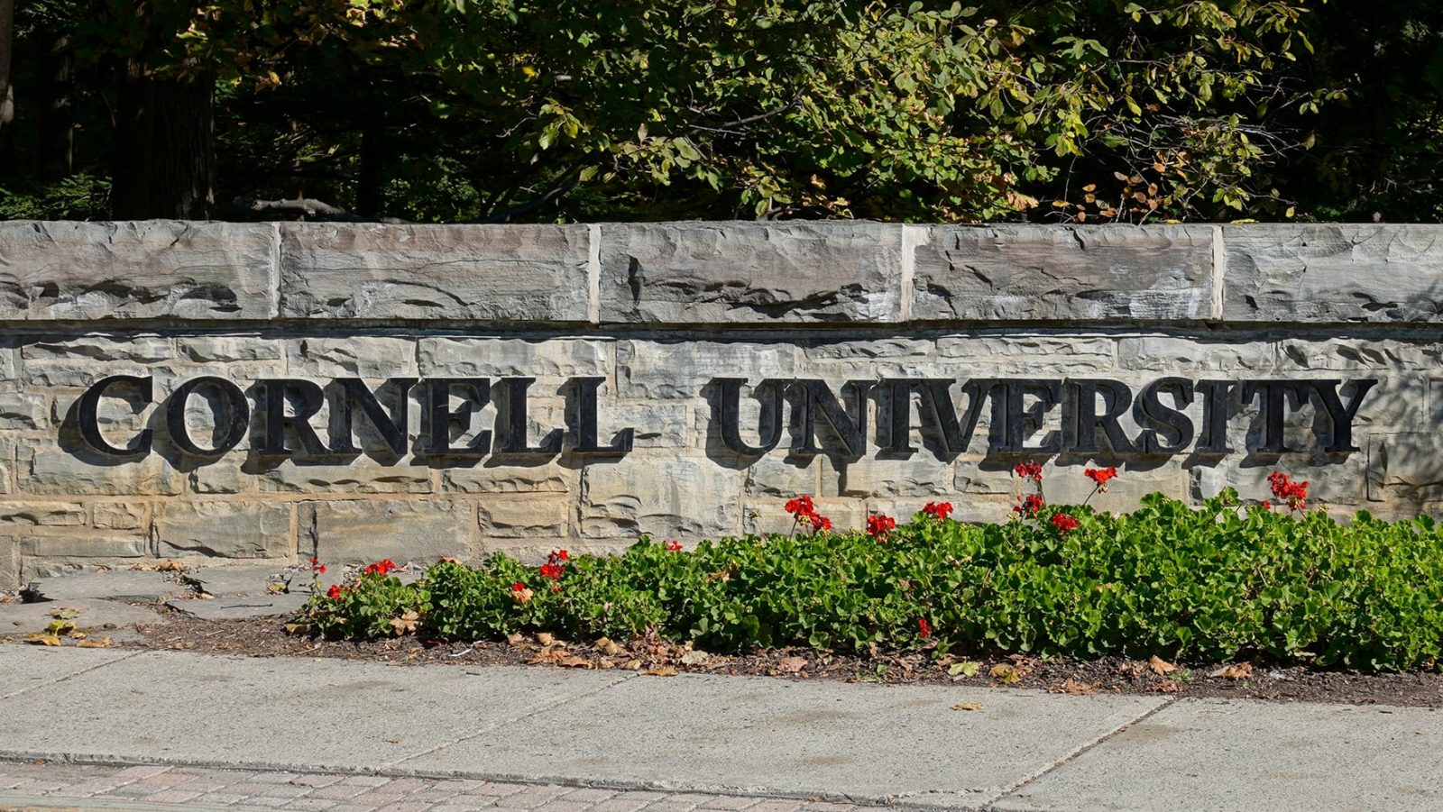 Los ‘7 de Cornell’: La historia del periódico que nunca dejó el caso y publicó los nombres de los agresores