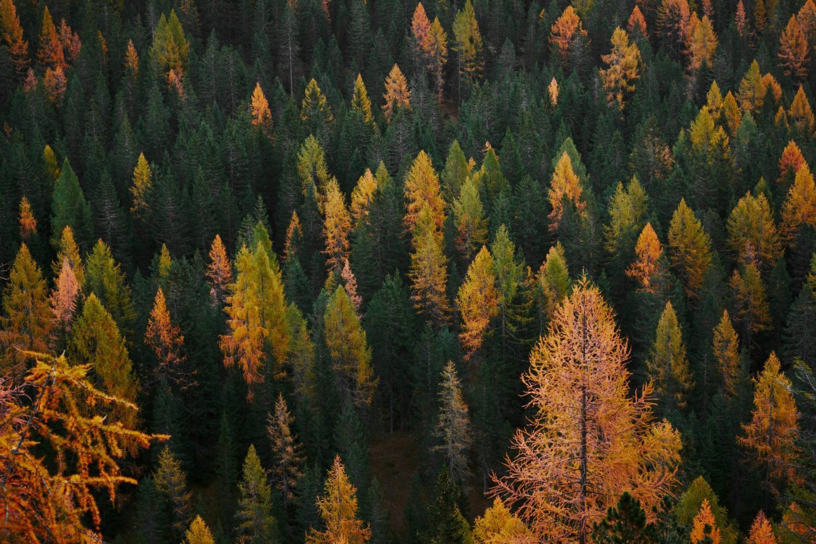 México: dónde vivir el otoño sin salir del país