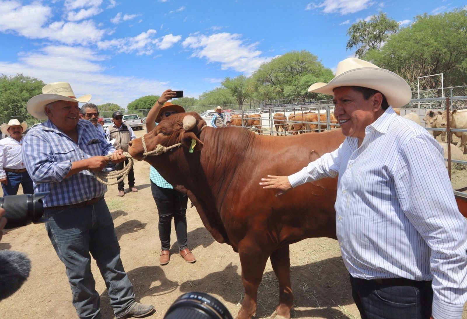 México reanuda exportación de ganado a EU desde Chihuahua con 750 cabezas