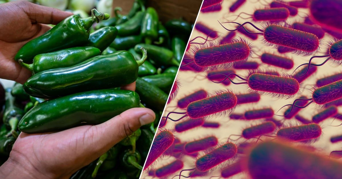 No hay evidencia de que productos mexicanos causaran brotes de Salmonella y Cyclospora: Cofepris