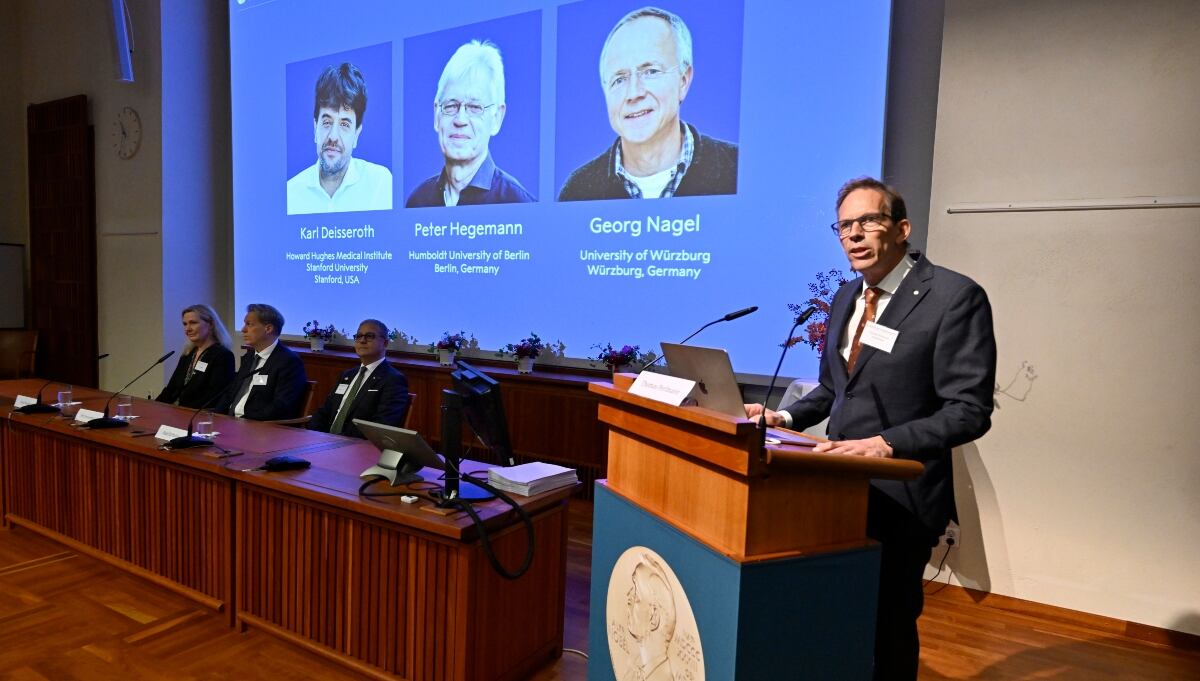Nobel muy ‘Inception’: Premian a 3 científicos por optogenética que explica cómo se crean los recuerdos