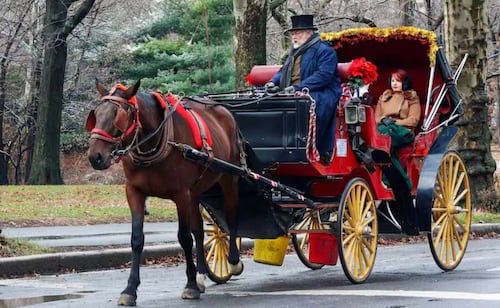Nueva York aprueba ley que prohíbe carruajes tirados por caballos a partir del 2028; medida divide a trabajadores y animalistas