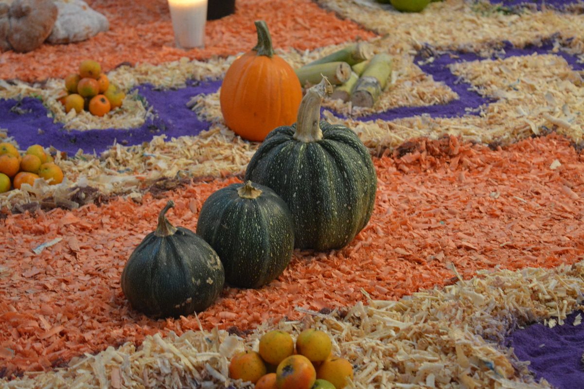 Origen de la calabaza: se domesticó en México antes que el maíz