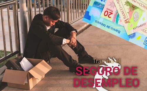 Pérdida de empleo formal; ¿cómo tramitar el apoyo económico en la CDMX?