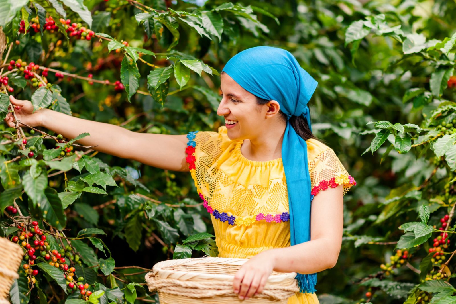 Ruta del café: 9 destinos para visitar si eres coffee lover