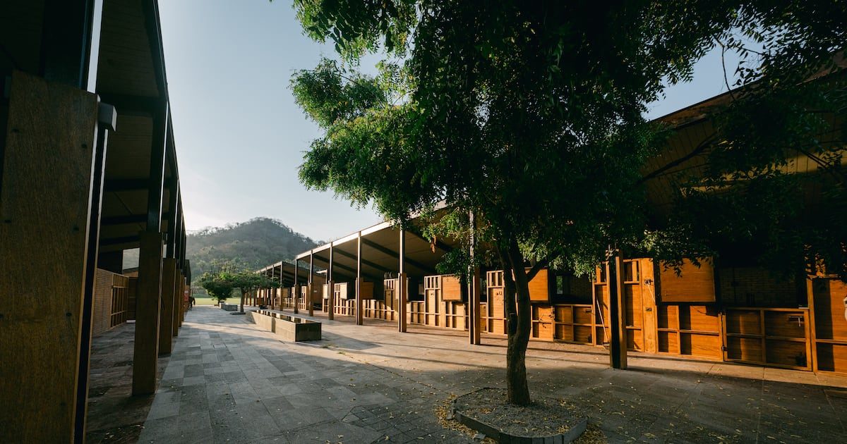 San Pancho, el pueblo de Nayarit donde conviven el arte, el surf y la naturaleza