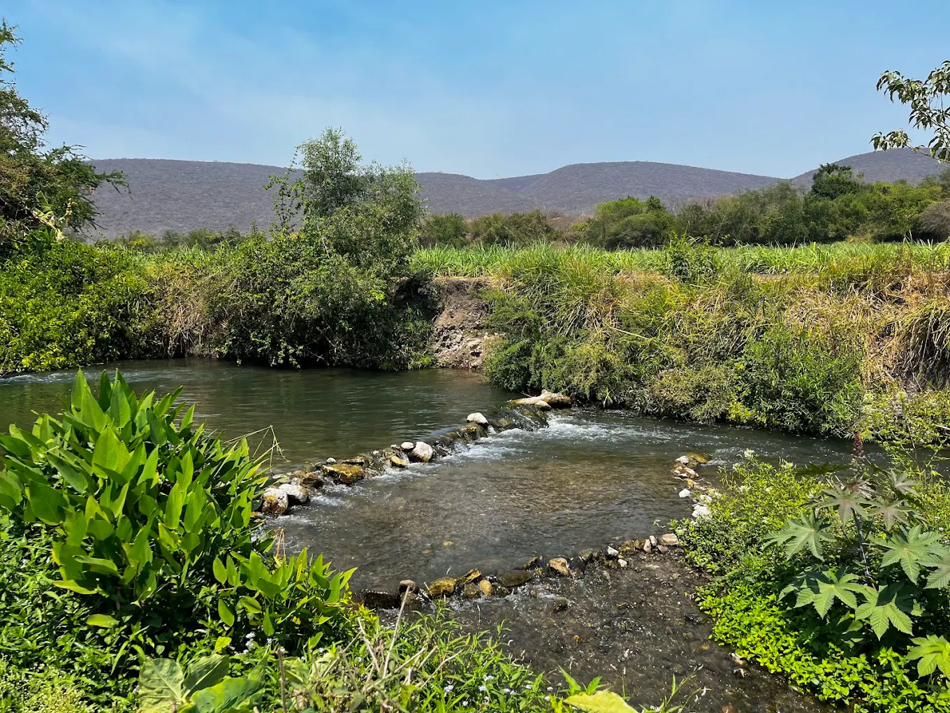 Temimilcingo: manantiales, historia y una escapada diferente en Morelos