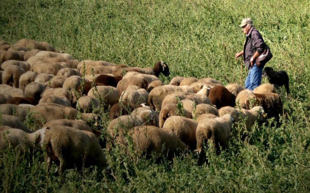 Trabajo para migrantes en Los Ángeles: Hay vacante como trabajador de granja y gana 10 dólares la hora