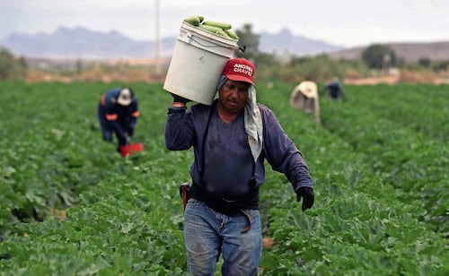 Tras shock energético, ONU advierte sobre posible crisis alimentaria mundial; precios agrícolas subieron por hidrocarburos más caros