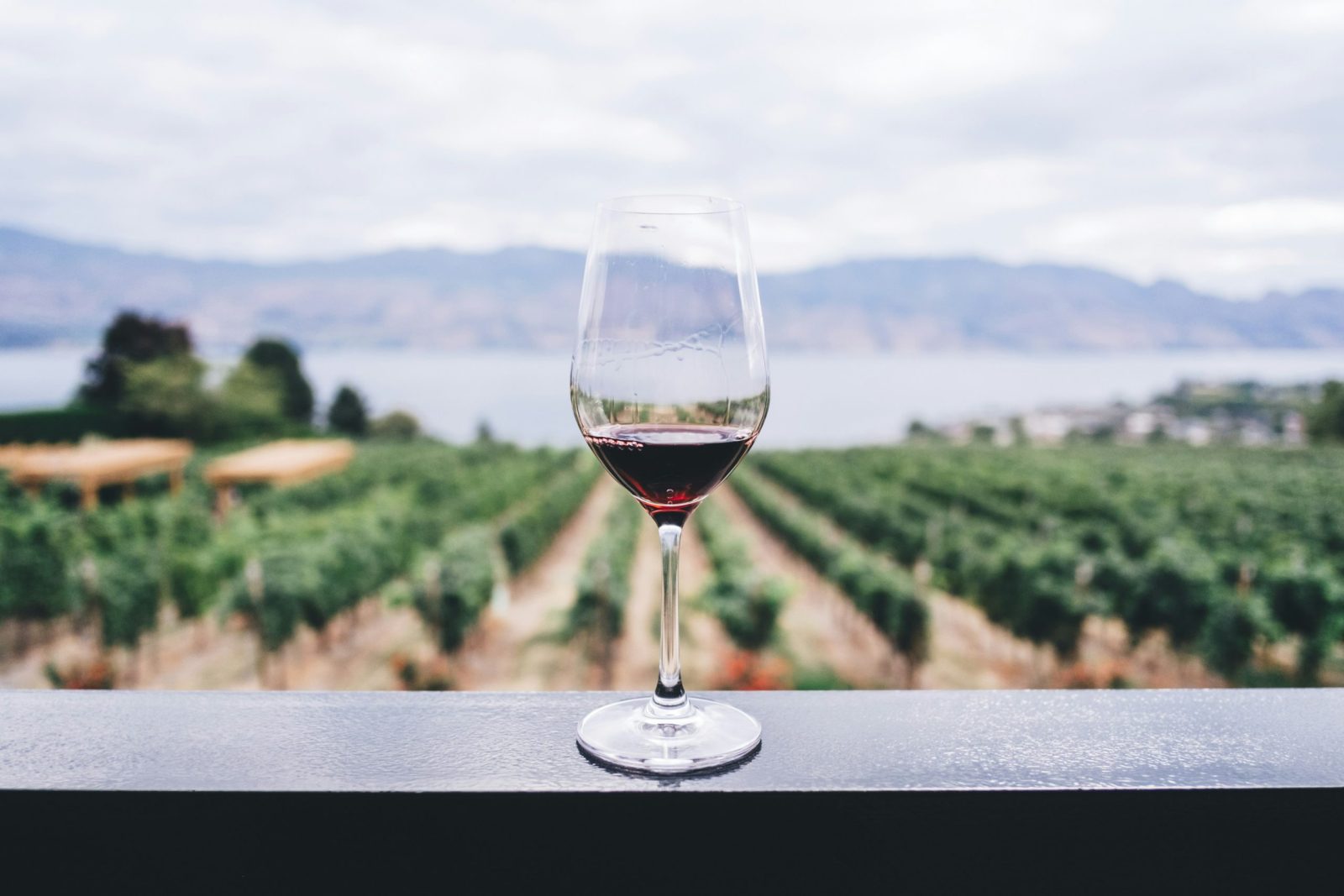 Viñedos en México para visitar en otoño