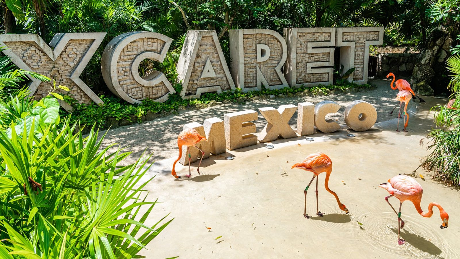 Xcaret advierte por mensajes de texto falsos para cobrar reservaciones: ¿Qué datos fueron extraídos?